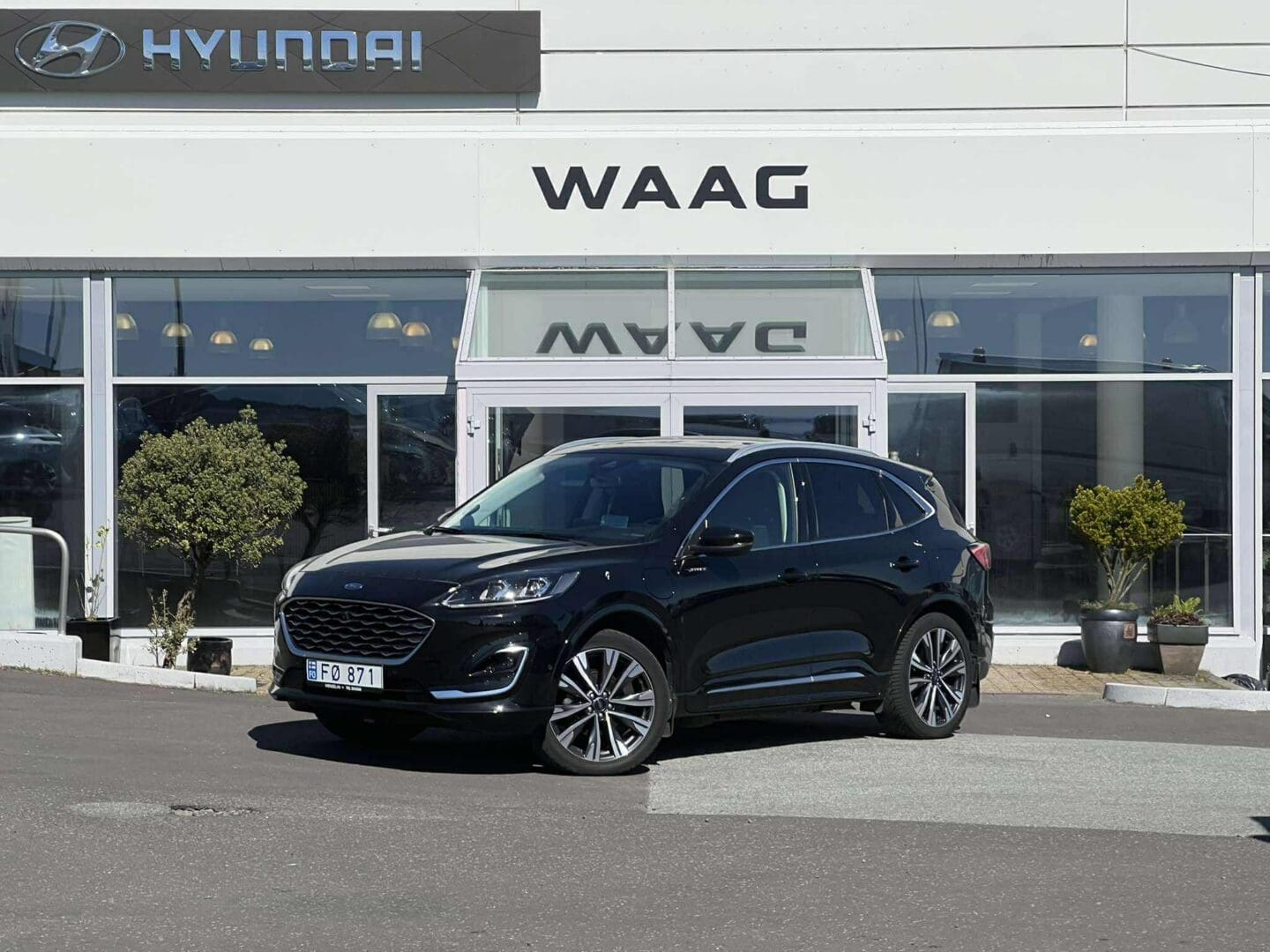 Ford Kuga