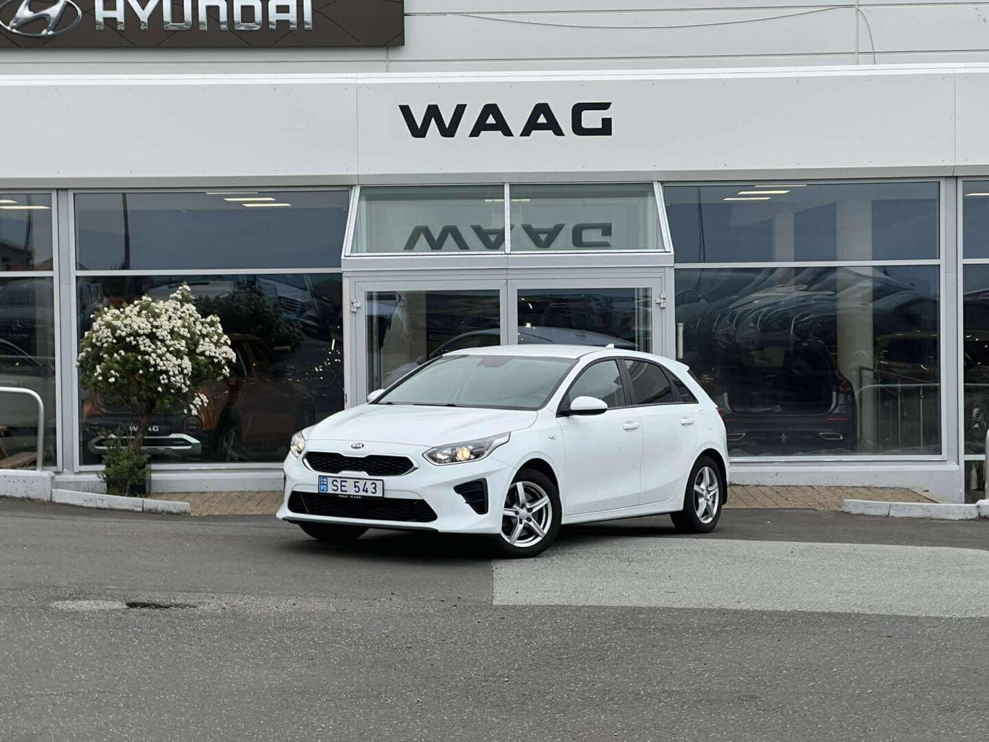 KIA Ceed Active