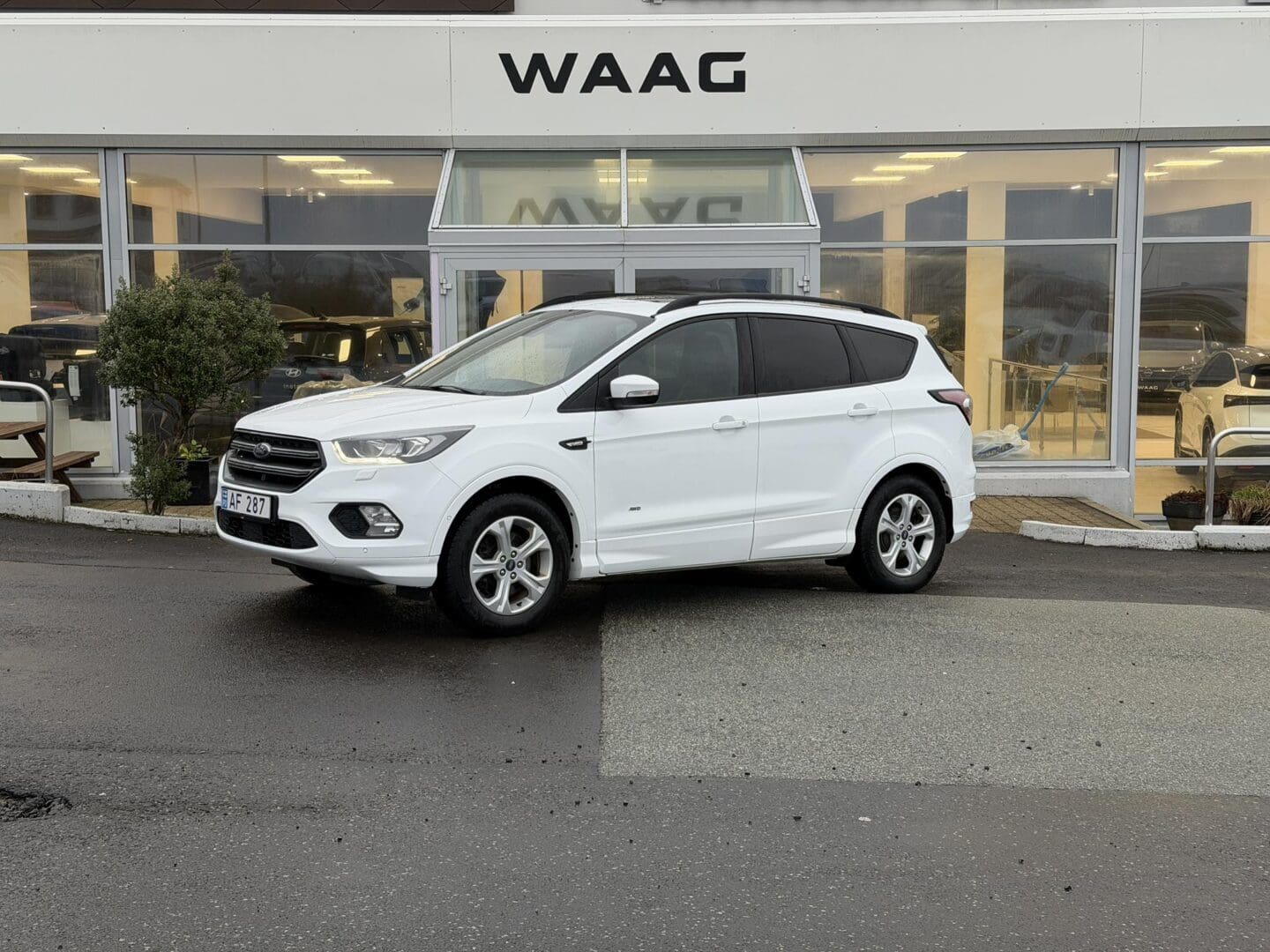 Ford Kuga